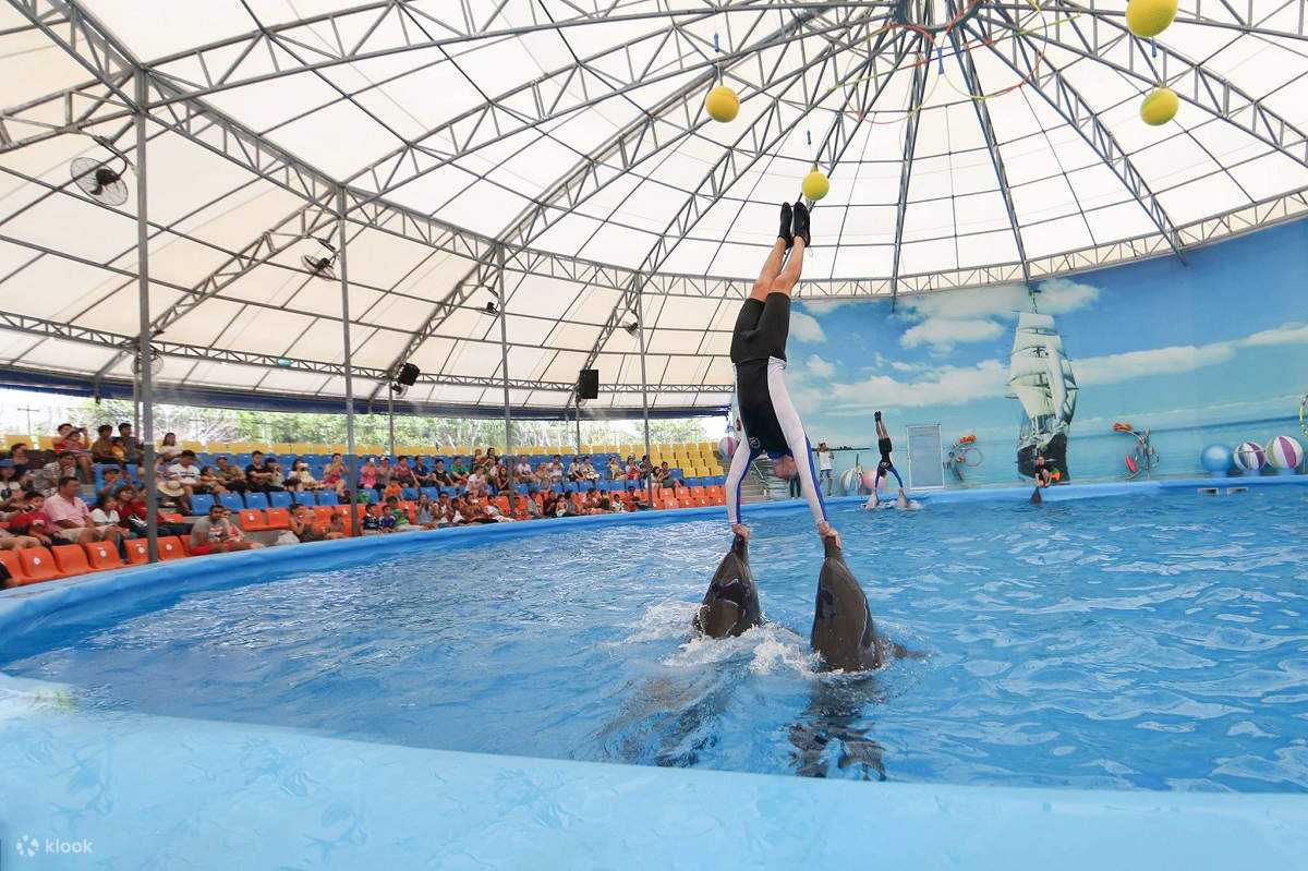 PhuketDolphinShowTicket